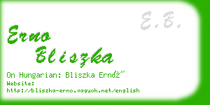 erno bliszka business card